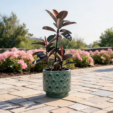 Jardinière ronde en grès émaillé vert pour succulentes Ø24 cm (1/5)