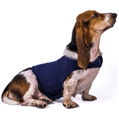 Pair Veste anti-anxiété pour chien, taille M (12-20 kg)