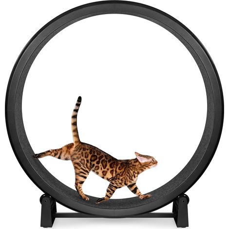 Roue d'exercice pour chat - Génération 7 - Diamètre sécuritaire de 122 cm (48 po) - Fabriquée aux États-Unis - Roue noire avec patins antidérapants en feutre noir et roues pleines alignées (1/5)