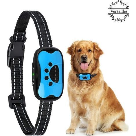 Ahlsen Collier Anti-aboiement Chien Rechargeable Automatique Collier de Dressage avec Son/Vibration sans Choc 7 Niveaux de Sensibilité pour Chiens de Taille Moyenne - Bleu (1/5)
