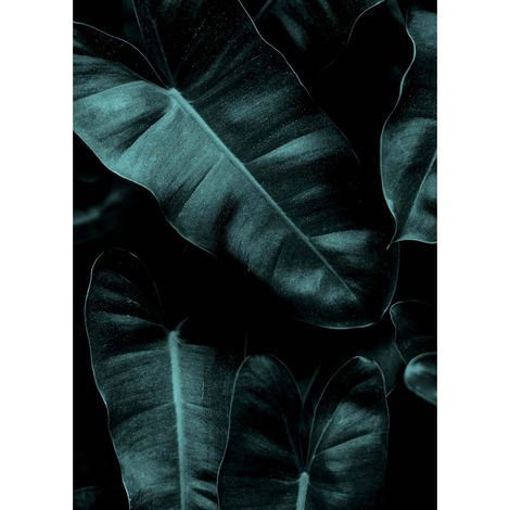 Tableau jungle pour déco salon moderne | Tableau feuille verte idéal pour couloir | Tableau sur toile nature parfait pour chambre - 0,5 x 0,7 m (1/2)