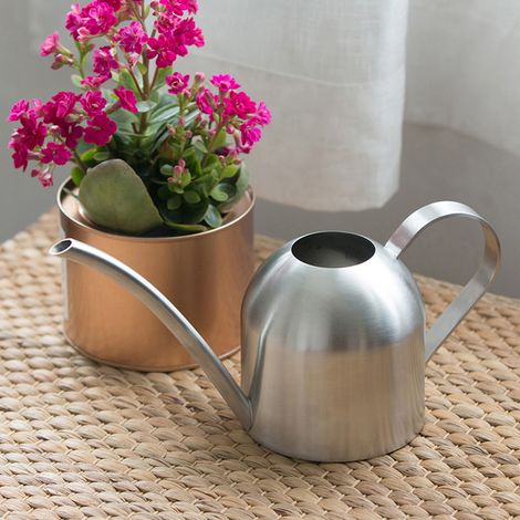 Arrosoir d'intérieur/extérieur en acier inoxydable de 500 ml avec long bec verseur pour plantes et fleurs de jardin. (1/5)