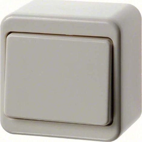 BERKER FRA321003 INTERRUPTOR DE CAMBIO EN SUPERFICIE