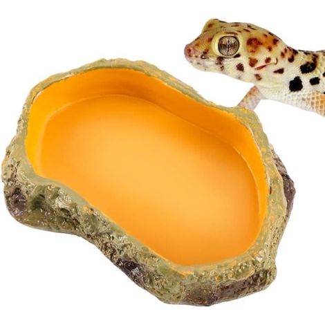 Bassin à eau pour reptiles - Décoration multifonction pour terrarium et habitat de serpent (1/4)