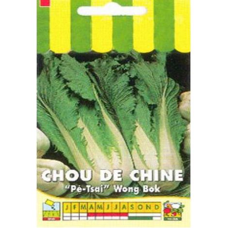 Chou de Chine 'Wong Bok' le sachet de 1000 graines environ (3g)