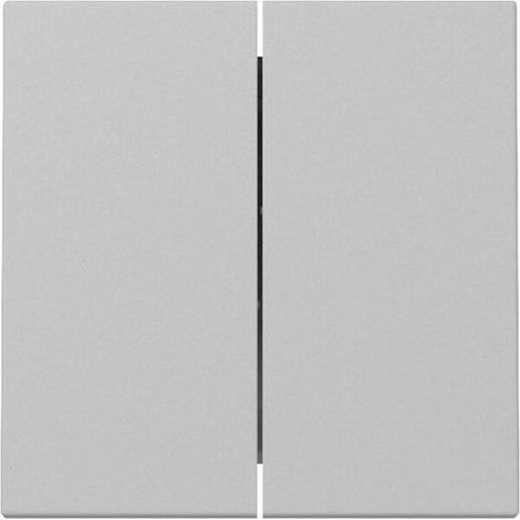 Gira WIPPE 2F SYSTEM 55 GRAU M (3295015 SYSTEM 55)