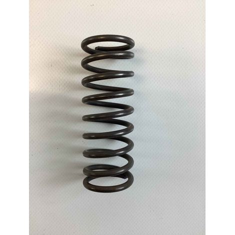 MUELLE D.36 L=99 F=4 ORIGINAL GOLDONI 00058245 (1/2)