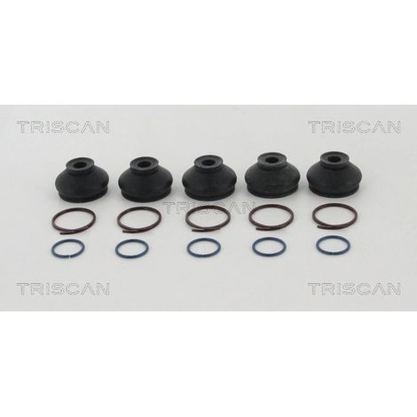 Lot de 5 Jeux de joints-soufflets, direction Triscan 8501 2810