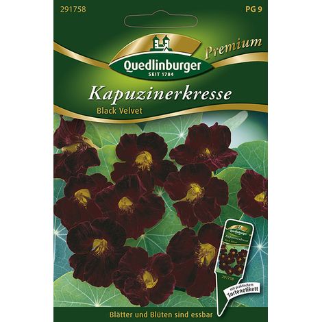 Quedlinburger Saatgut – Capucine « Black Velvet » – Graines de fleurs, fleurs rouge foncé velouté, non grimpante, 30 cm