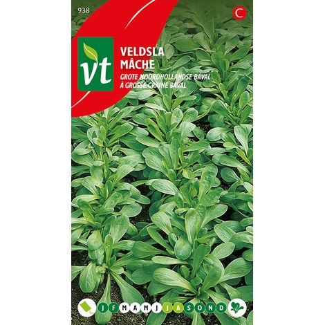 Mache à Grosse Graine Baval - Ca. 4 gr (Livraison Gratuite) (1/2)