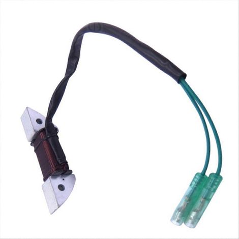 Alternateur de charge pour moteur hors-bord 8HP 9.8HP, bobine statorique, pièce de rechange, compatible moteur bateau, remplacement fiable, performance optimale. (1/5)