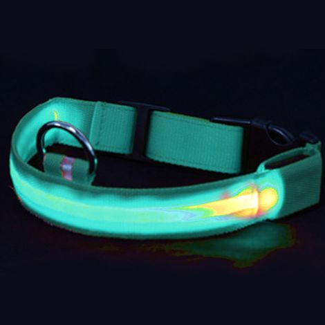 Wiederaufladbares LED-Hundehalsband per USB – Helles und gut sichtbares Leuchthalsband für nächtliche Spaziergänge mit dem Haustier