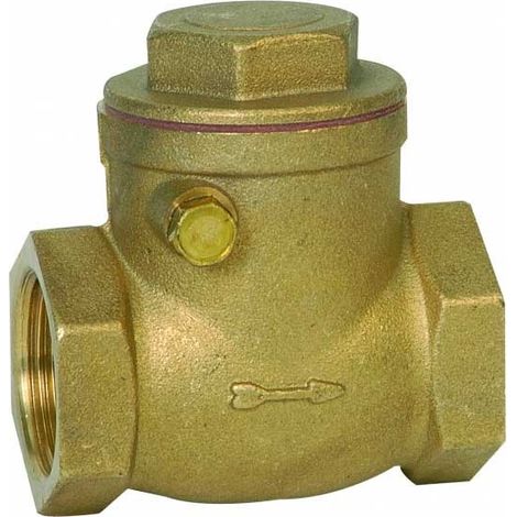 Clapet anti-retour en caoutchouc 1/2'' laiton GENEBRE