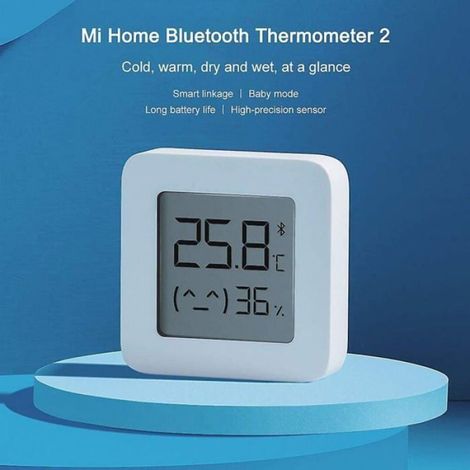 Thermomètre et Hygromètre Bluetooth Professionnel, Mesure Température et Humidité, Intérieur, 2 Pièces (1/4)
