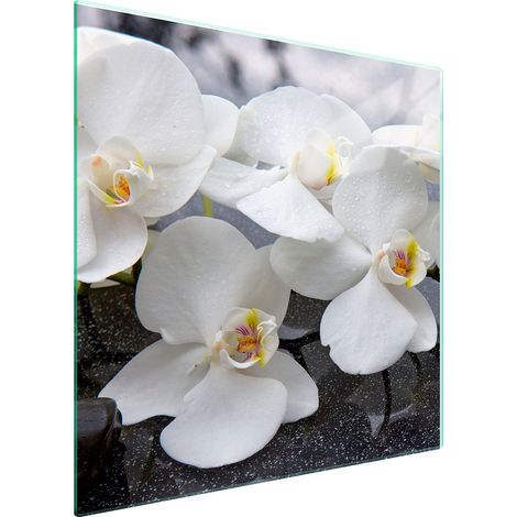 GLASSCHUTZPLATTE FÜR HERD 50x52 ORCHIDEE (1/5)