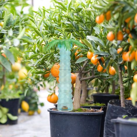 Automatischer Kokospalmen-Pflanzensprenger 500ml Lila Großes Fassungsvermögen Langsame Bewässerung 8 Tage Ideal für Urlaub und Garten (1/5)