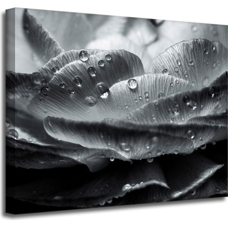 Leinwanddruck Blume in Tautropfen 50x40 cm
