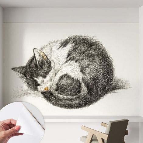 Papier peint autocollant adhésif installation rapide du papier peint durable et résistante Charmant chaton 152x104 cm (1/5)