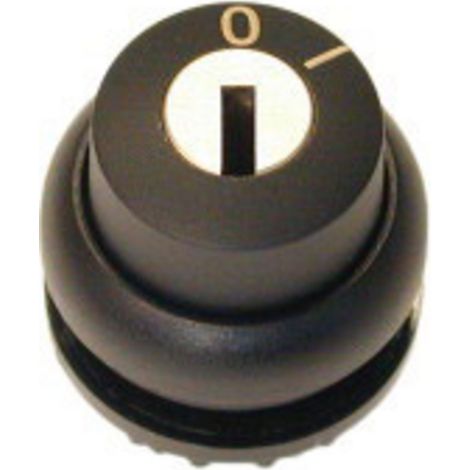 Eaton 216889-1 M22S-WRS Schlüsselschalter Schwarz 1 St.