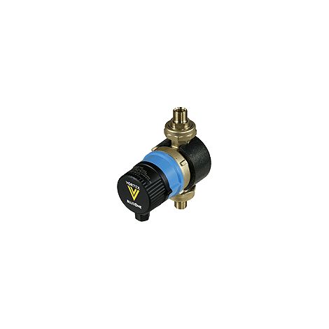 Pompe BWO 155 V avec raccord interne 3/4".