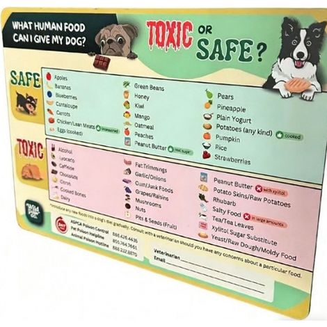 Practical Oxic Food for Dogs Fridge Magnet - Pet Health Food Refrigerator Magnet