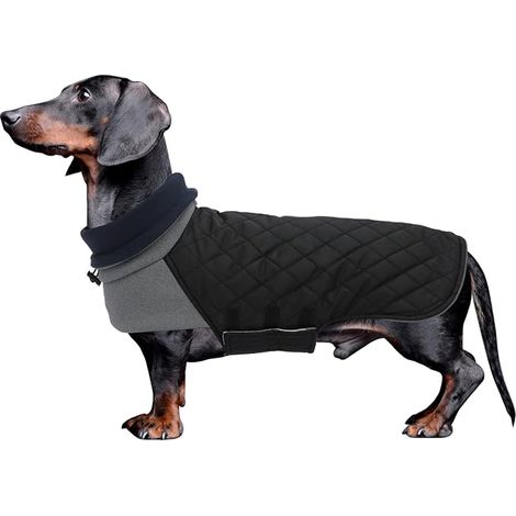 Chien Manteau d'hiver pour Teckel Imperméable Pull pour Teckel Miniature avec Trou pour Harnais,Pulls à col Haut Veste pour Chien,Teckel Gilet pour Petits Chiens-Rose-S (1/5)