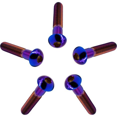 Vis à Tête Bombée M4/M5/M6/M8 en Titane GR5, 5 Pièces Vis à Tête de Bouton Boulons à Six Pans Creux Allen Boulon à Douille Hexagonale Vis à Métaux (1/5)