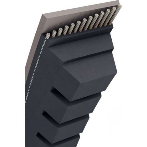 Courroie tondeuse BX46 trapézoïdale crantée  17 x 1235 mm