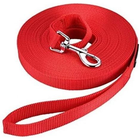 Laisse pour chien, laisse pour chien en nylon robuste et résistante aux intempéries (1/4)