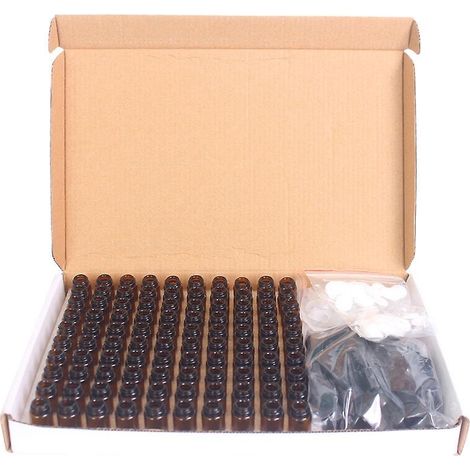 100 flacons en verre ambré de 2 ml pour huiles essentielles, flacons vides rechargeables avec bouchons noirs