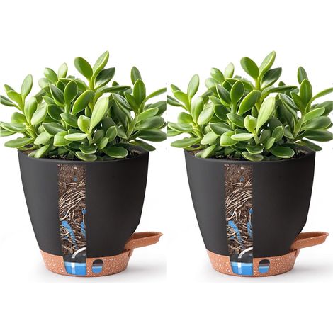 Selbstbewässernde Kunststoffblumen, 15,5 cm – Schwarz, selbstbewässernde Pflanzgefäße für drinnen, draußen und Balkon (1/5)