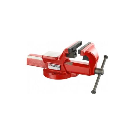 Facom 1224.100E Schraubstock Spannweite max. 125 mm