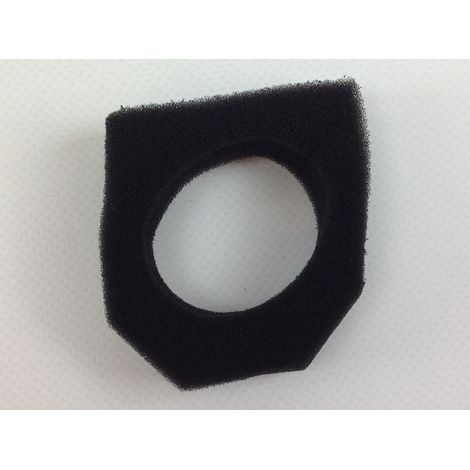 Spugna filtro aria  PROGREEN per decespugliatore PG 43D  PG 52D 038765