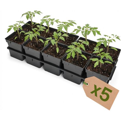 Garronda Anzuchtschale 10 Plätze mit 1 L Pflanztöpfen eckig 5er Set Transporttray Kunststoff für Gewächshaus Garten Anzuchtsysteme mechanischen Transport Schwarz GD-0208