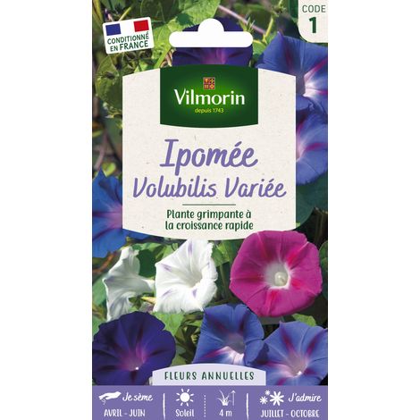 Vilmorin – Ipomée Volubilis variée – Graines de fleurs – Période de semis : printemps – Exposition : ensoleillée – Couleur : blanc à violet