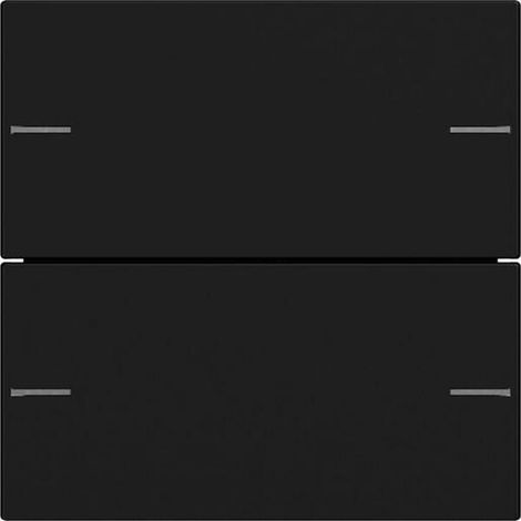 Gira Wippenset 2-fach Tastsensor Schwarz 5752005