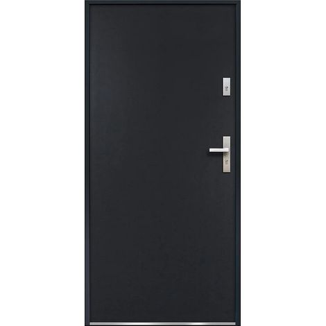 Porte d'entrée en acier pleine H207 x L100 cm anthracite - épaisseur 55 mm - poussant gauche - AGUEDA