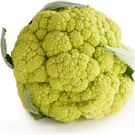 Semi di cavolfiore verde di Macerata "San Martino" piante per orto e giardino