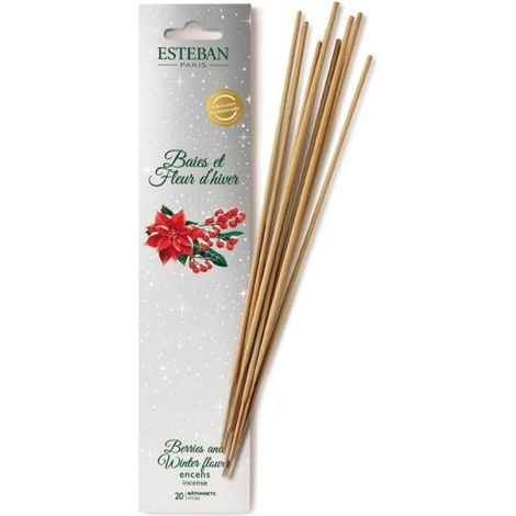 Esteban - Encens indiens 20 batônnets Baies et Fleurs d'hiver (1/3)