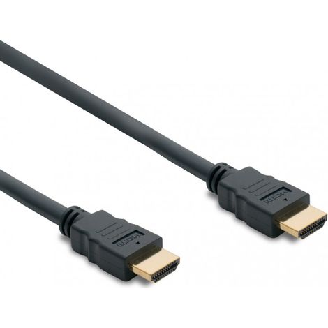 Câble HDMI High Speed mâle/mâle 1,5 m (1/2)