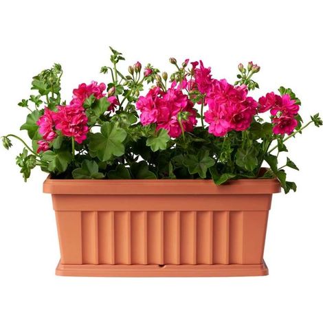 set fioriera da balcone bama "iris" terracotta 50 cm (1/4)