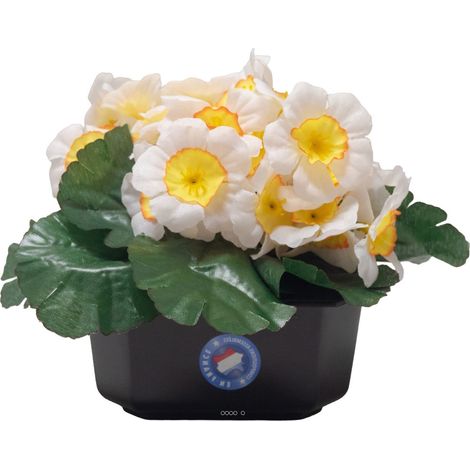 Composition fleurs artificielles cimetière pot carré primevères H17 cm D24 cm Blanc - couleur: Rouge-blanc (1/3)