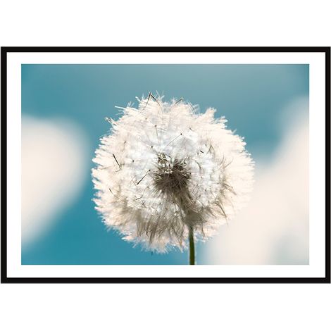 POSTER FOTOGRAFICO IN CORNICE 33x43 cm Boho P2251 (1/3)