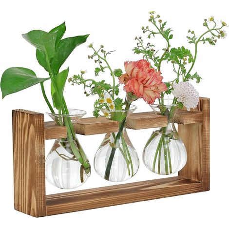 Notice Station de Propagation Plantes - Vase Hydroponique 3 Bulbes avec Support en Bois Vintage, 3 Bulbes, Terrarium Plante Intérieur, pour Boutures, Avocat Décoration
