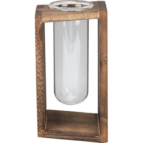 Terrarium en verre pour plantes, en forme de tube à essai. Terrarium de bureau multifonctionnel, innovant et fabriqué à la main, pour plantes hydroponiques. Grille en carbone. (1/5)