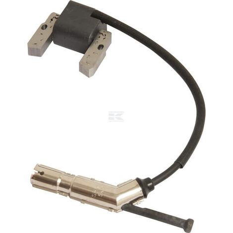 Armature BRIGGS & STRATTON 84004162 (1/2)
