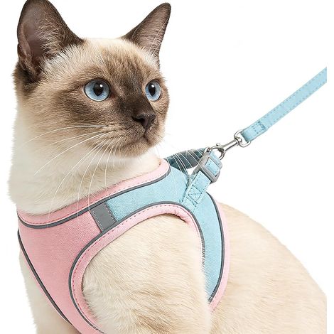 Juego de arnés y correa para gatos, arnés antiescape para gatos, chaleco ajustable cómodo y transpirable, para gatos pequeños y cachorros (RosaL) (1/5)