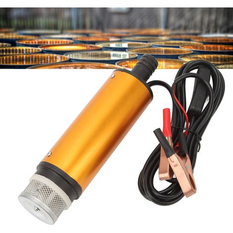 Pompe à huile diesel portable, pompe de transfert d'huile miniature, pompe miniature à double usage huile-eau, pompe à huile électrique avec filtre, 12 V (1/5)