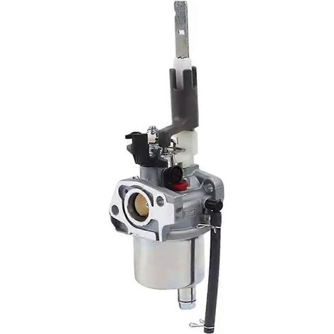 Carburateur LCT 254CC ARIENS 20001171 compatible avec les souffleuses à neige LCT L15D 08201024 08201215. (1/5)