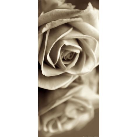 Sepia rose, intissé photo mural, 90 x 202 cm, 1 part (1/3)